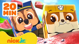 Block Party S Yummy Picnic With Giant Fruit More Adventures W PAW Patrol 20 Minutes Nick Jr 