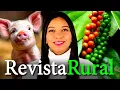 Download Lagu PROGRAMA REVISTA RURAL - 29/06/2025