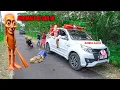 Lagu ANOMALI TUNG TUNG SAHUR DI BAWA SAMA MOBIL AMBULAN BERH4NTU KER4NDA M4Y4T