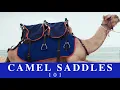 Camel Saddles 101