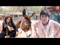 Lagu राजपल यादव जॉनी लीवर की ब्लॉकबस्टर हिंदी कॉमेडी मूवी Rajpal Yadav Jonny Lever Best Comedy Full Movie
