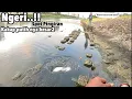 Download Lagu Ngeri..!!Mancing Ikan Kakap Putih Besar Di Pingiran Di Sambar Sak Bantal Bikin Kuwalahan