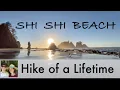 Lagu Hike of a Lifetime: Point of the Arches and Shi Shi Beach, WA