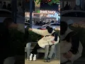 Download Lagu ❤️ Chinese Girl And Boy Sweet Love Story ❤️ #chinese #viralshorts #love #lovestory #douyin #tiktok