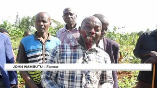 Bulambuli farmers raise concern over coffee theft
