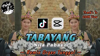 tabayang lagu dayak kalbar remix orgen tunggal viral tiktok nila pabayo by perdi at