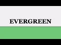 GENERATIONS from EXILE TRIBE - Evergreen (kan/rom/eng lyrics)