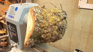 A Bowl Through a Branch !!
