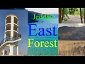 Jeddah East Forest Saudi Arabia 2023 || Ely ET
