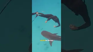 Our 3yo’s First swim with Sharks.