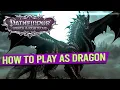 How to play as Dragon All Dragon viable Classes - PATHFINDER WRATH OF THE RIGHTEOUS