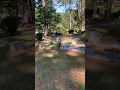 The Grave of Gladys Presley in Florida