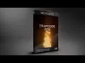 Trapcode Fire Particle System by CG - Visuals After Effects Element Template