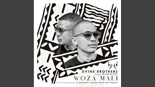 woza mali thakzin extended remix 