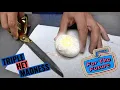 The Future Ball Python Egg Cutting