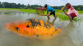 Village Amazing Boys Fishing By Teta and Polo | Fishing Video