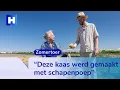 Download Lagu Zomertoer op het Noord-Hollandpad: Koen wandelt van De Cocksdorp naar Oudeschild
