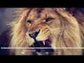Download Lagu ALEX \u0026 RUS New Song | Official Song |   New Song  2021 Must Watch