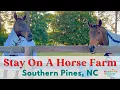 Stay on a Horse Farm Tanglewood Farm Bed and Breakfast in Southern Pines NC