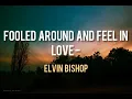Elvin Bishop - Fooled Around and Feel in Love  (LYRICS)