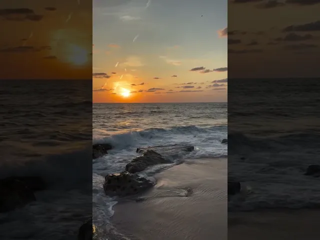 ⁣الشيخ الدكتور احمد الوائلي (رحمه الله) | لمحة عن الشكليات الغير مبررة 😥🫨