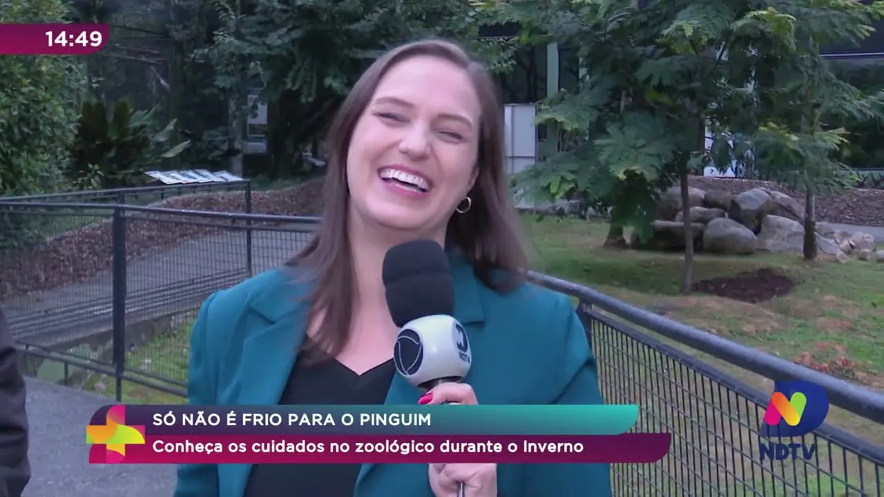 Só não é frio para o pinguim: conheça os cuidados do zoológico durante o inverno