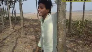                                                         دندنها
