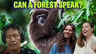 Can you hear a forest disappear? | Science Quickly Podcast