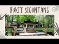 Bukit Siguntang, makam keluarga Raja-raja Sriwijaya