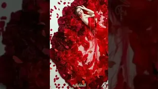 شيماء الشايب انا بستناك 