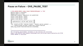 Debugging unit tests with OVS - PAUSE