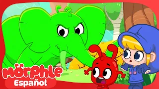 Aventura en el bosque con Mila y Morphle 🐘 Caricaturas para Niños | Morphle en Español