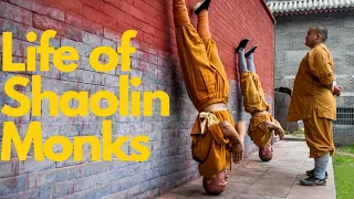 an exemplary shaolin warrior monk yanhao shaolinkungfuyanhao