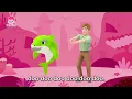 Mix- Summer Shark Special 🦈 Baby Shark Doo Doo Doo with Bebefinn