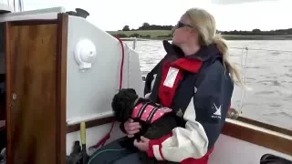 EP24 funNstuff Summer cruise 2015 pt5. The trip up the Crouch to Fambridge Marina