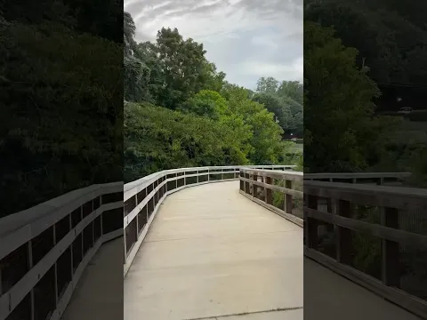 Run until: deer 🦌🏃