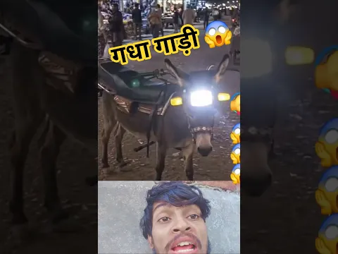 गधा गाड़ी नजर आया है #shorts