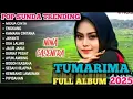 Download Lagu TUMARIMA 🎵NINA GASENTRA FULL ALBUM TERBARU 2025🎵POP SUNDA TRENDING PALING BANYAK DICARI