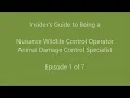 An Insider s Tips Ideas on Becoming a Nuisance Animal Trapper Episode 1