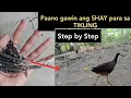 Download Lagu TUTORIAL How to make a SHAY Trap for breasted waterhen