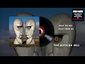 Download Lagu Pink Floyd - What Do You Want From Me (The Division Bell 30th Anniversary Official Audio)