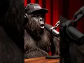 Download Lagu Bigfoot Makes Joe Rogan DIE Laughing!