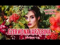 Lagu Muzyczka do Tańca - Czerwona jarzębina (Cover Dystans)