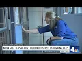 Northern Virginia Shelters Report Uptick in People Returning Pets NBC Washington
