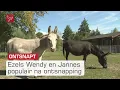 Download Lagu Ontsnapte ezels Wendy en Jannes maakten Lelystad even onveilig | Omroep Flevoland