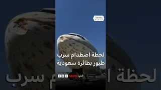 لحظة اصطدام سرب طيور مهاجرة بطائرة سعودية في الجزائر 