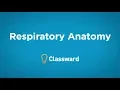 Respiratory Anatomy and Physiology Overview - EMTprep com