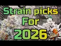 Strain Picks For 2026