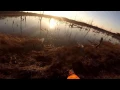 Pheasant hunting NJ