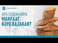 Download Lagu Fakta Mitos Seputar Kayu Bajakah Yang Harus Diketahui | Hidup Sehat tvOne